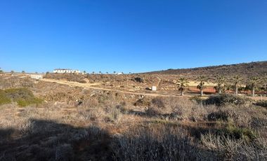 OPORTUNIDAD INVERSIÓN LAS TACAS