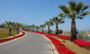 OPORTUNIDAD INVERSIÓN LAS TACAS