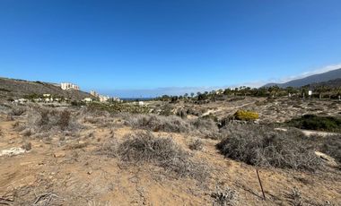 OPORTUNIDAD INVERSIÓN LAS TACAS