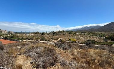 OPORTUNIDAD INVERSIÓN LAS TACAS