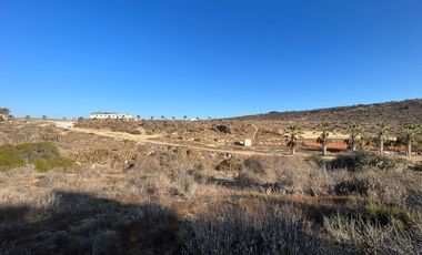 OPORTUNIDAD INVERSIÓN LAS TACAS