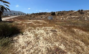 OPORTUNIDAD INVERSIÓN LAS TACAS