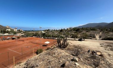 OPORTUNIDAD INVERSIÓN LAS TACAS