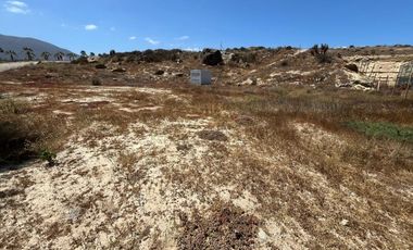 OPORTUNIDAD INVERSIÓN LAS TACAS