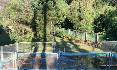 PUCÓN OESTE CON CAMINO AL VOLCAN