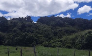 PARCELAS SANTA CLARA