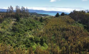 PARCELAS SANTA CLARA