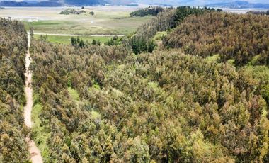 PARCELAS SANTA CLARA