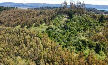 PARCELAS SANTA CLARA