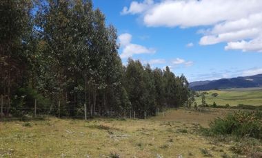 PARCELAS SANTA CLARA