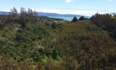 PARCELAS SANTA CLARA