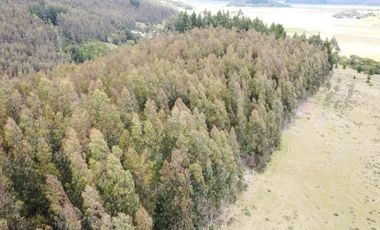 PARCELAS SANTA CLARA