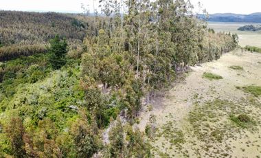 PARCELAS SANTA CLARA