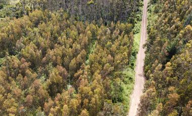 PARCELAS SANTA CLARA