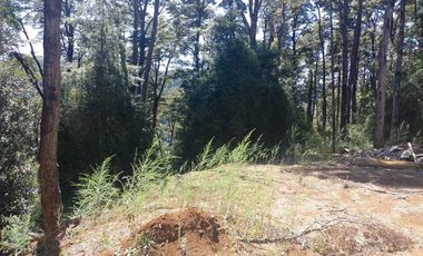 SECTOR SANTO DOMINGO