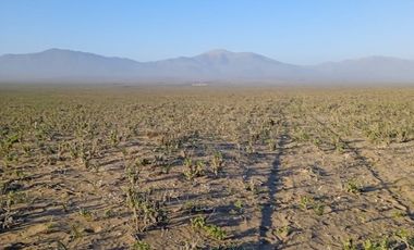 LLANO DE LOS CHOROS