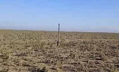 LLANO DE LOS CHOROS