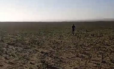 LLANO DE LOS CHOROS