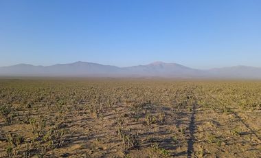LLANO DE LOS CHOROS