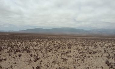 LLANO DE LOS CHOROS