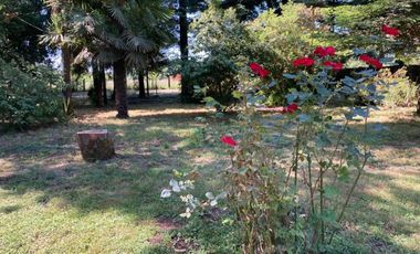 SAN JOSÉ DE LA MARIQUINA