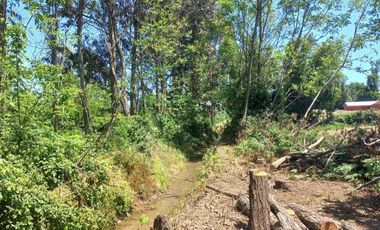 RUTA L-250  (SECTOR LA TOSCANA S/N)