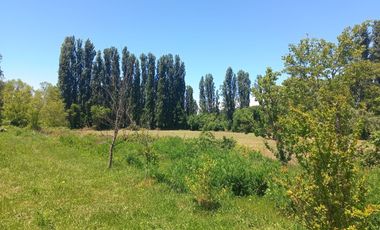 RUTA L-250  (SECTOR LA TOSCANA S/N)