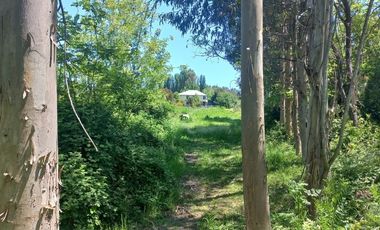 RUTA L-250  (SECTOR LA TOSCANA S/N)