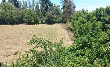 RUTA L-250  (SECTOR LA TOSCANA S/N)