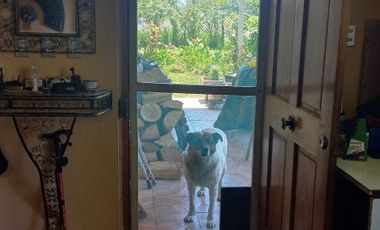 RUTA L-250  (SECTOR LA TOSCANA S/N)