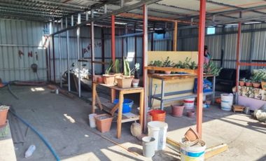 A PASOS A JOSÉ MIGUEL CARRERA