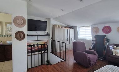 LA DEHESA DE LA VIÑA