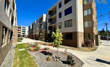 Departamento en Arriendo en Bernardo Leighton, Peñablanca