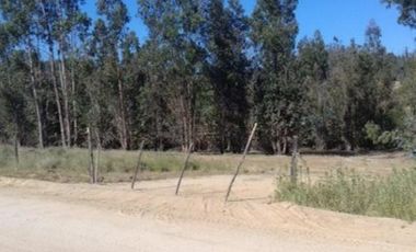 Agrícola en Venta en Venta Lote 8 5.908MT Sector Camarico norte Pumanque SIN COMISION CONVERSABLE