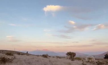 MANZANAR RUTA 360 KM12