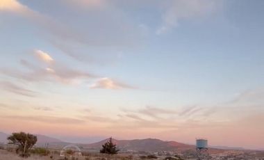 MANZANAR RUTA 360 KM12