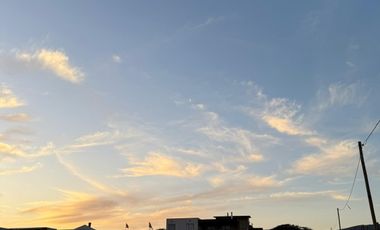 MANZANAR RUTA 360 KM12