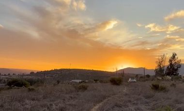 MANZANAR RUTA 360 KM12