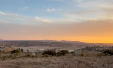 MANZANAR RUTA 360 KM12