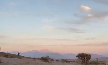 MANZANAR RUTA 360 KM12