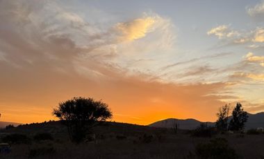MANZANAR RUTA 360 KM12