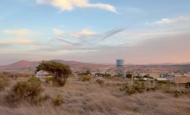 MANZANAR RUTA 360 KM12