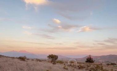 MANZANAR RUTA 360 KM12