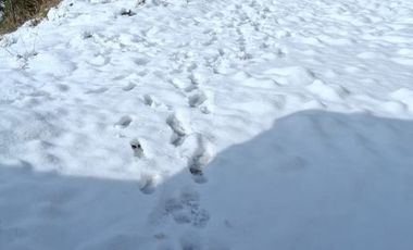 RUTA N-55 KM 39.5 A 40 MINUTOS DE LAS TERMAS DE CHILLÁN