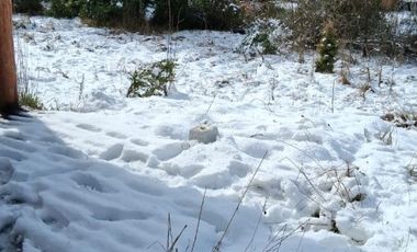 RUTA N-55 KM 39.5 A 40 MINUTOS DE LAS TERMAS DE CHILLÁN