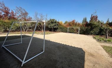 JULIO PHILIPPI  IZQUIERDO, CHICUREO PONIENTE