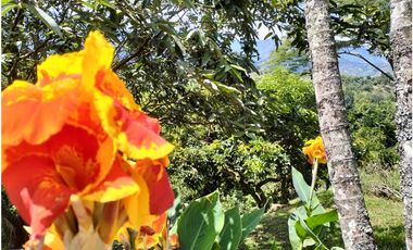 VENTA FINCA CAMPESTRE DE LUJO SECTOR EL CAIMO ARMENIA QUINDIO