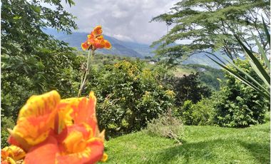 VENTA FINCA CAMPESTRE DE LUJO SECTOR EL CAIMO ARMENIA QUINDIO