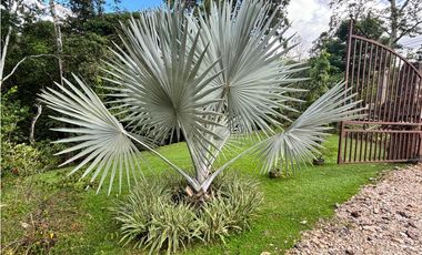 PENONOME / CASA DE CAMPO / 4046M / 3 HABITACION / VISTA AL RIO ZARATI