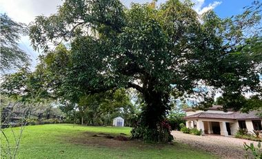 PENONOME / CASA DE CAMPO / 4046M / 3 HABITACION / VISTA AL RIO ZARATI